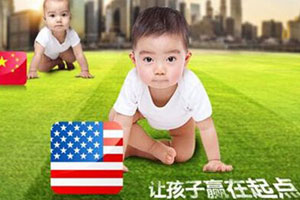 <b>2026年赴美生子攻略推荐</b>